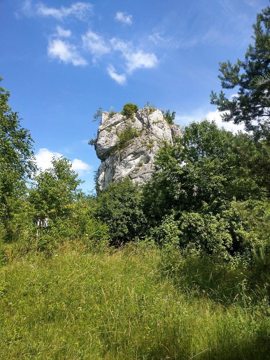Ruiny strażnicy w Ryczowie