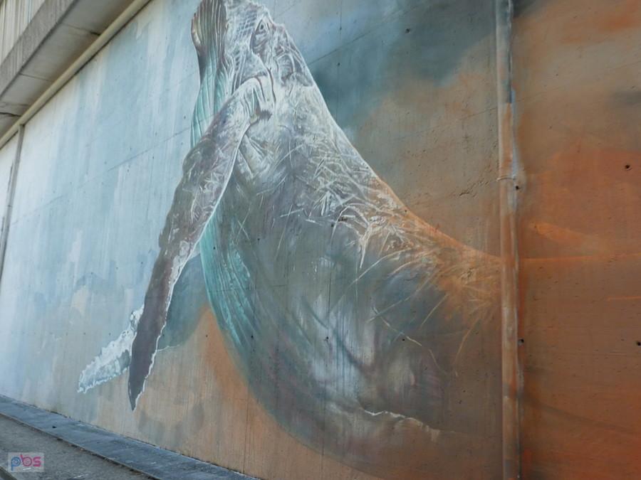 murale pod wiaduktem