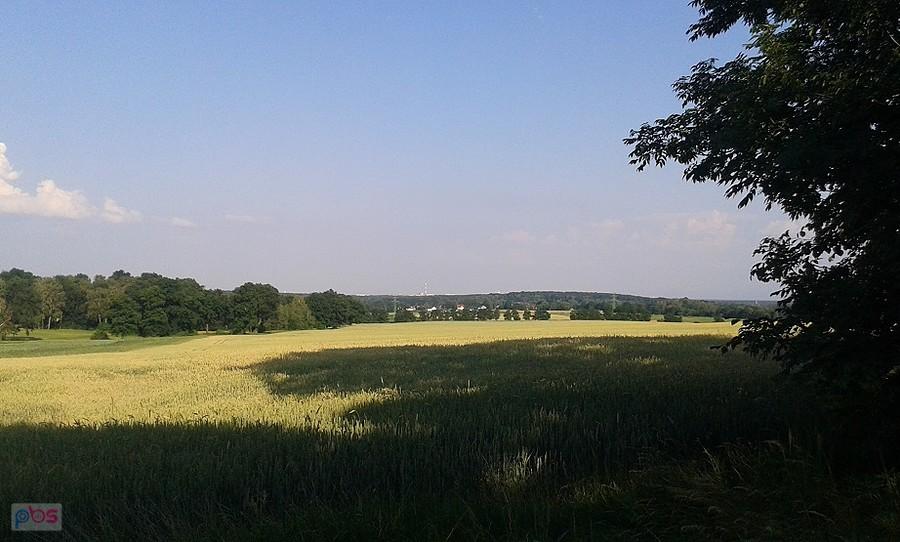 Za polami Tychy