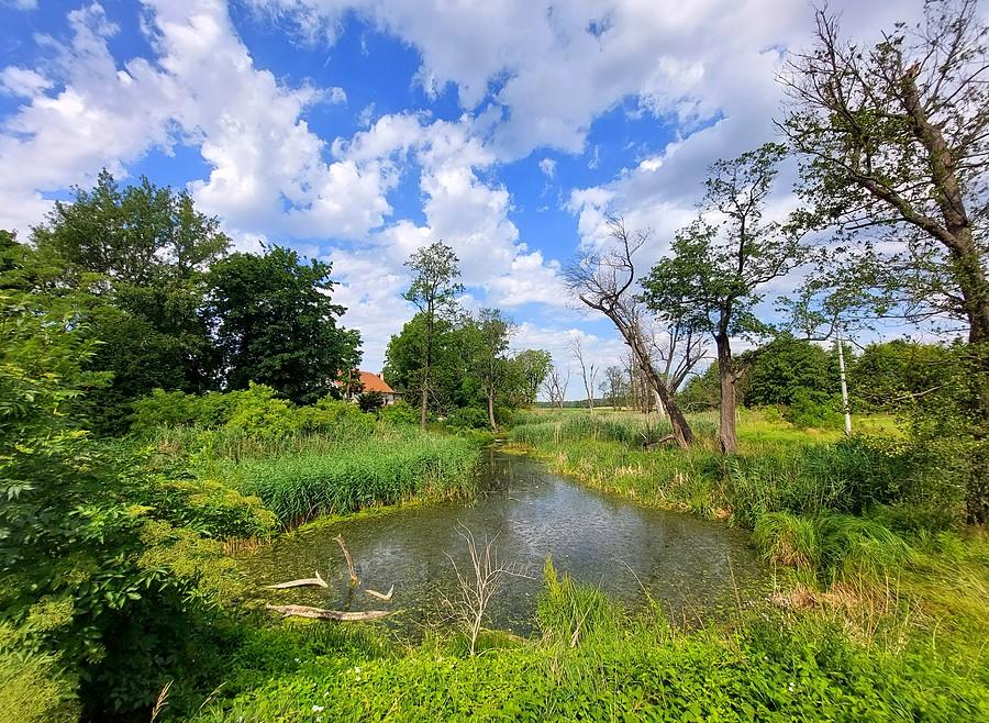 Kolorowe bagno w Trzcielinie