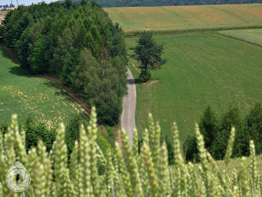 zakamarki Wyżyny Miechowskiej z nagłymi hopami