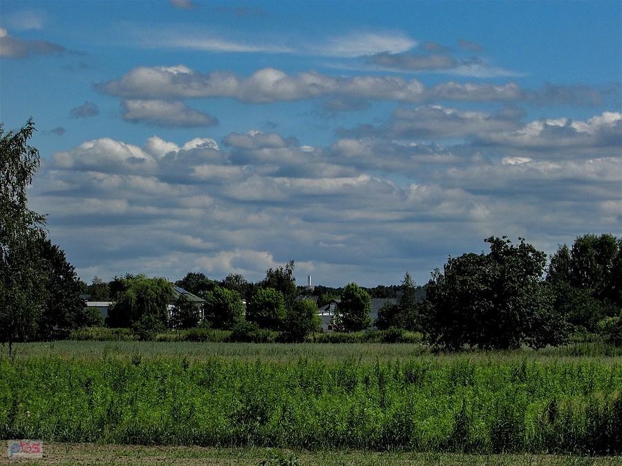 Zielony Ursynów