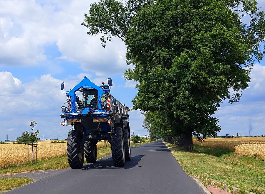 Mijanka z błękitnym kolosem
