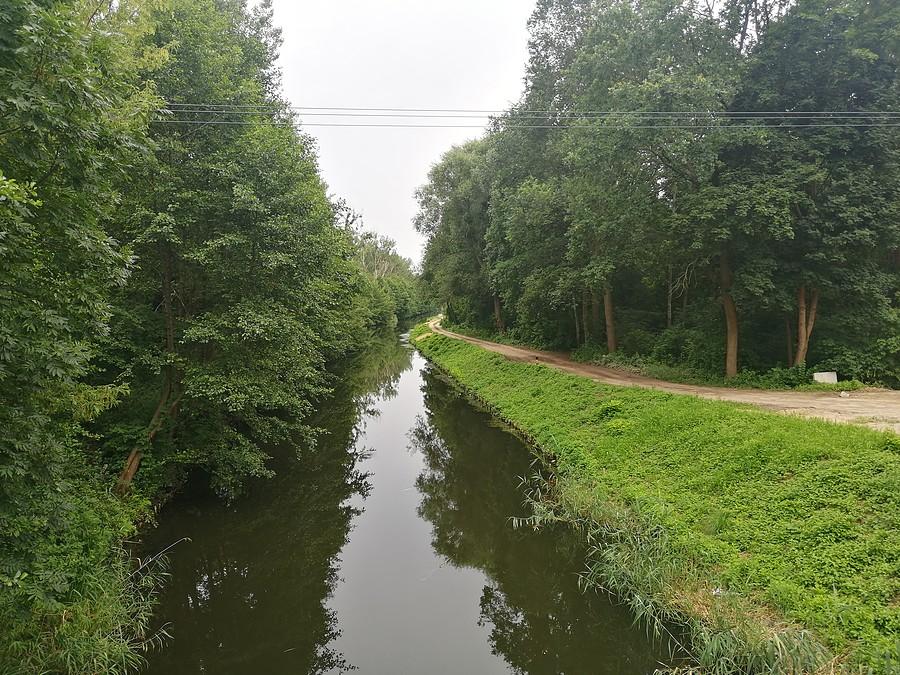 Zielona sceneria.