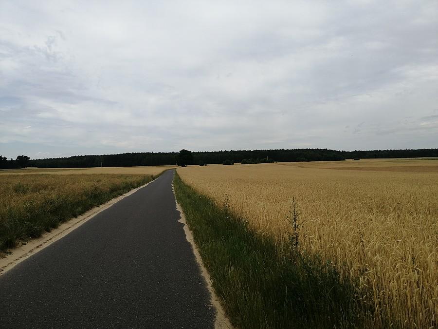 Rejony wioski Zacisze w okolicach Słupcy.