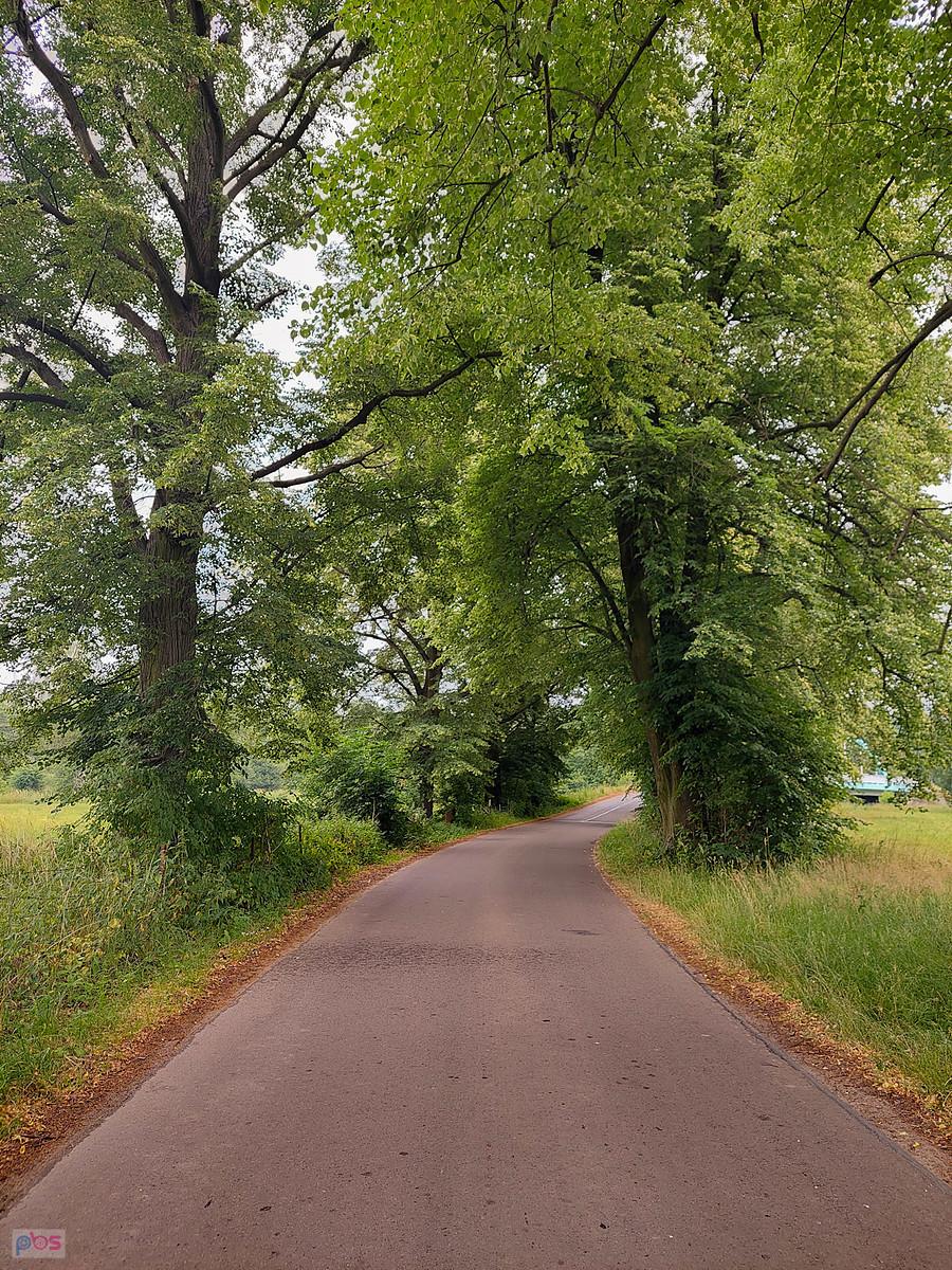 Za plecami most nad Wartą - Korwinów