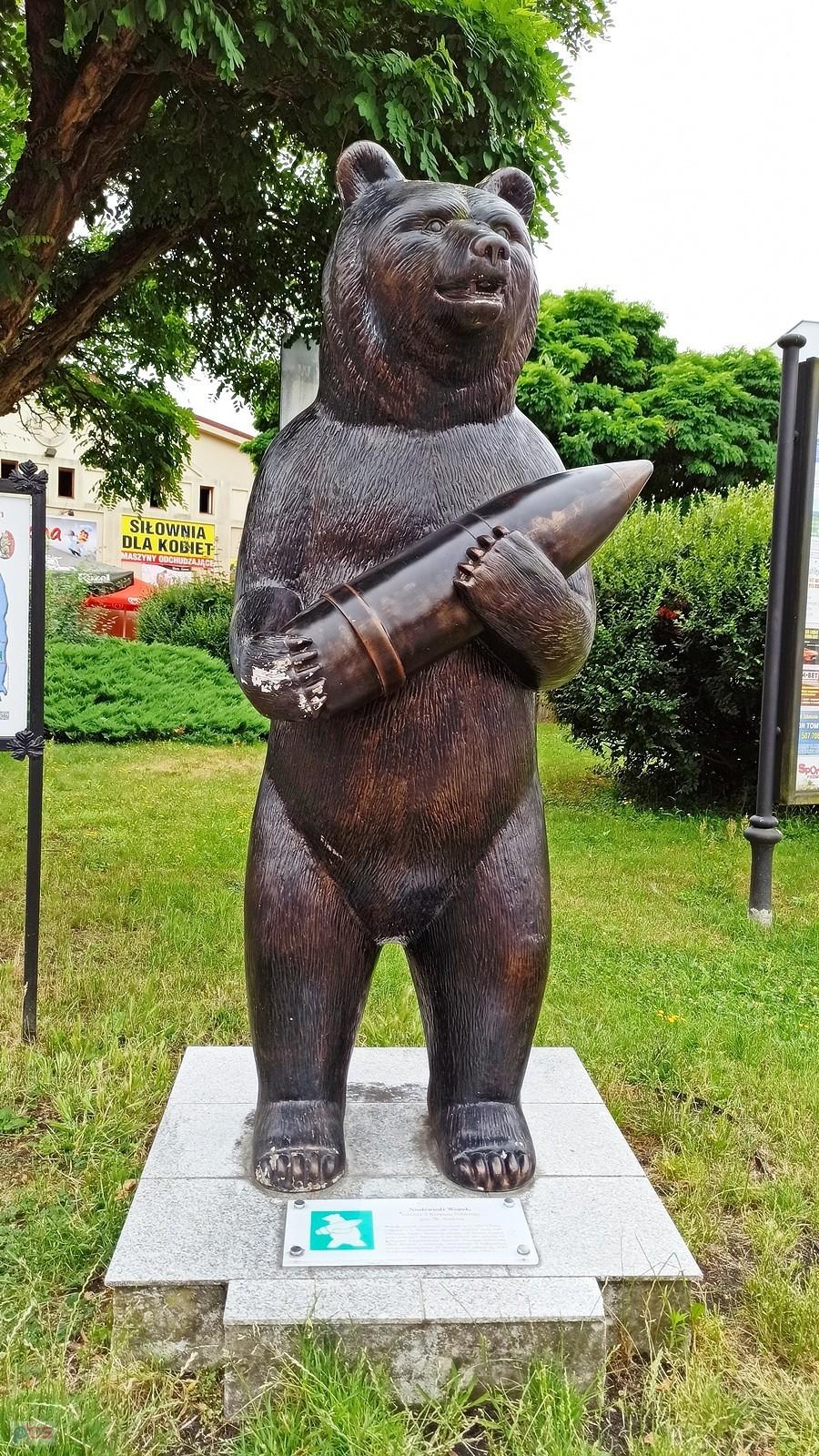 Niedźwiedź Wojtek w Żaganiu