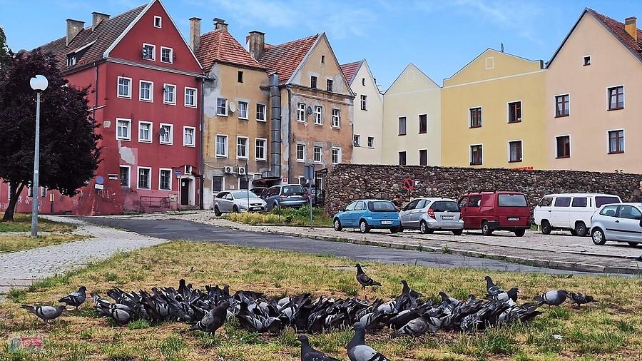 Widok na żagańskie kamieniczki