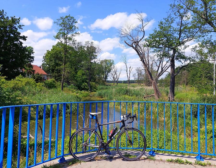 Rozpogodzenie w Trzcielinie