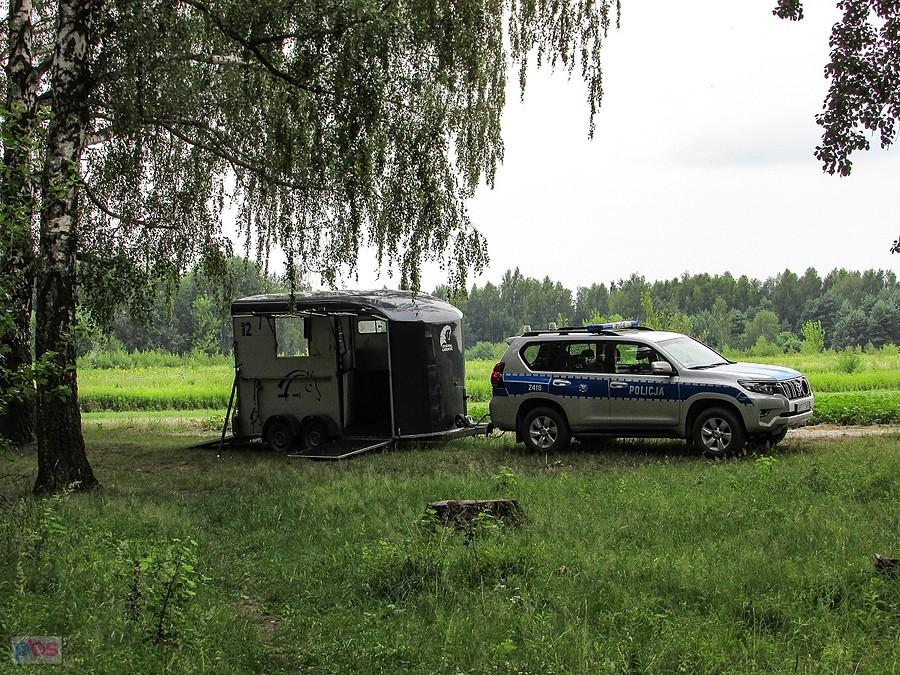 Policja konna