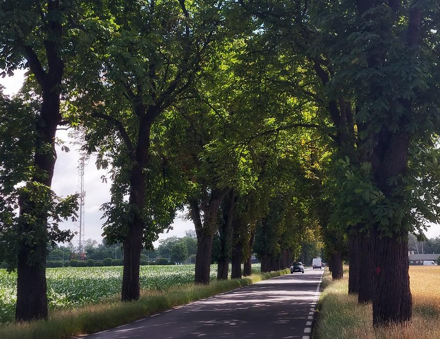 Chwilowe prześwietlenie na szlaku