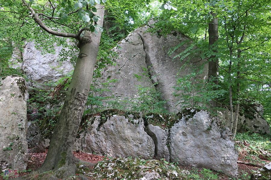 Skały na Pustelnicy