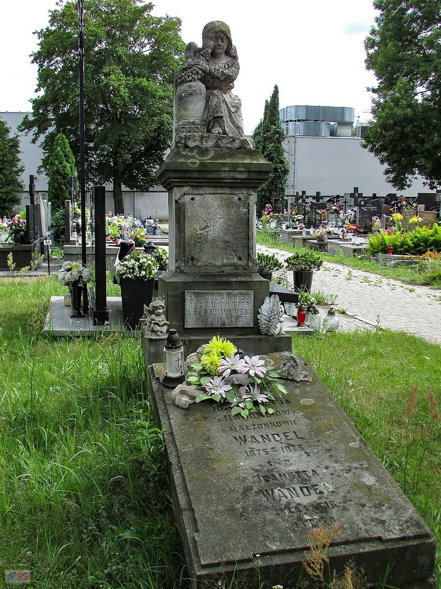 Grobowiec Wandlów i Messów
