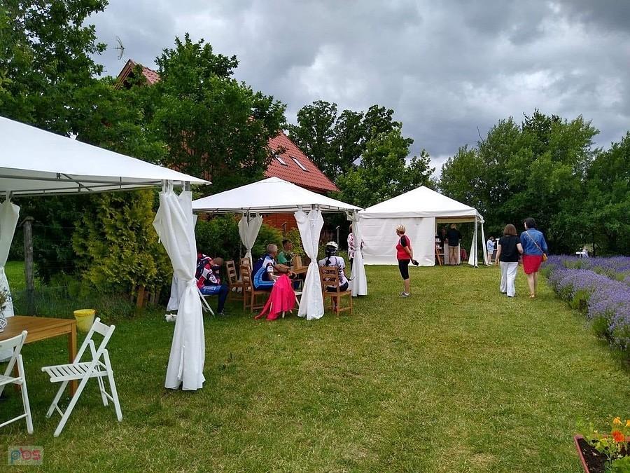 Kociewska Prowansja- Radziejewo
