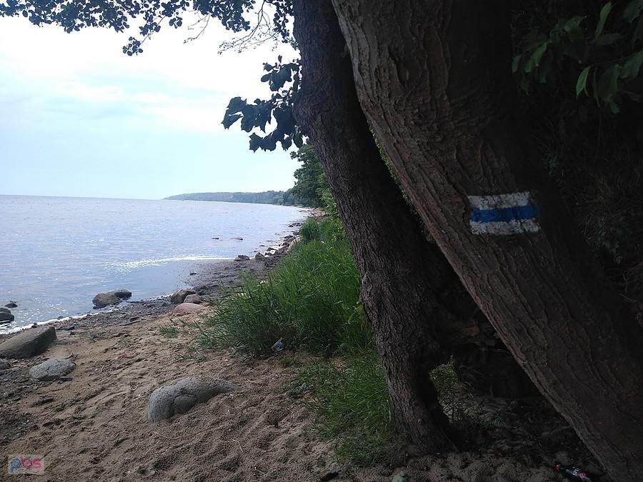 Na szlaku nad Zatoką Pucką