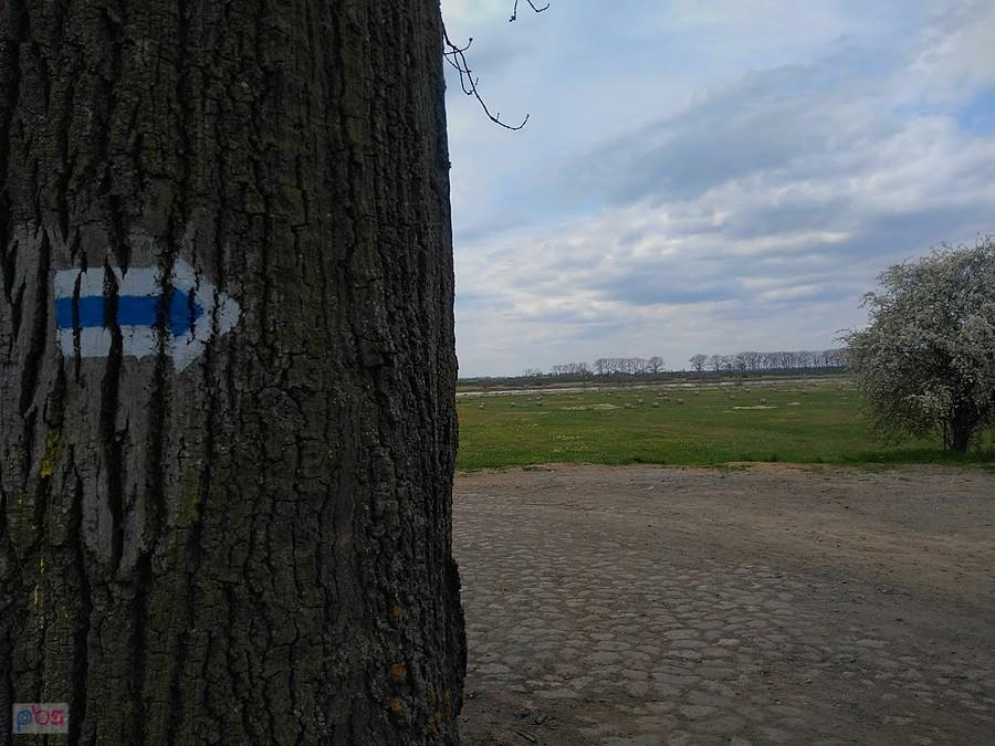 Na szlaku w kierunku Mikoszewa