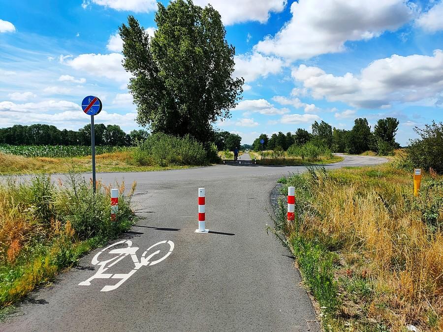 Ścieżka rowerowa na starym szlaku kolejowym Ścinawa-Prochowice