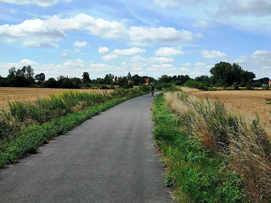 Ścieżka przed wsią Parszowice