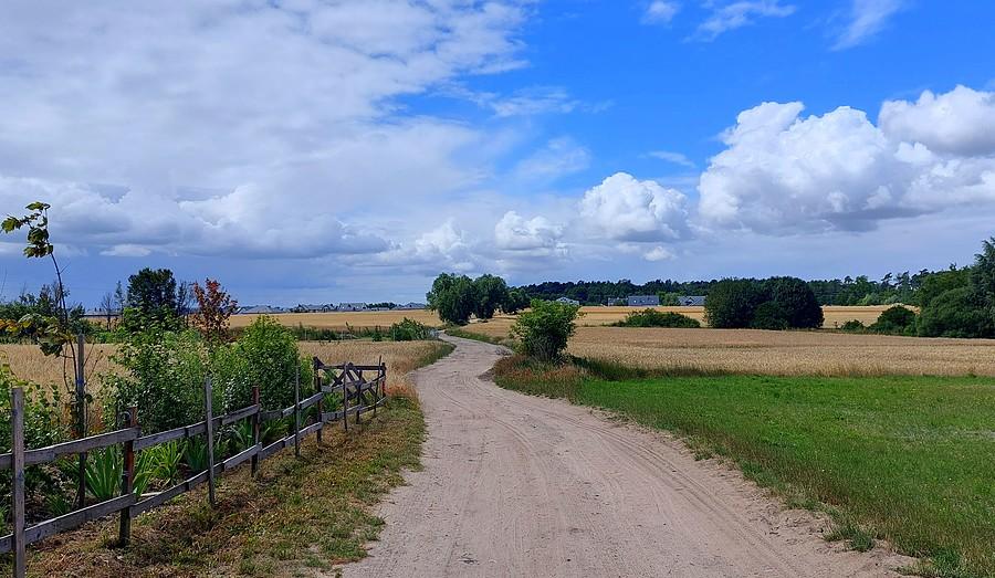 Lusówko - wielkopolski klimat w pigułce