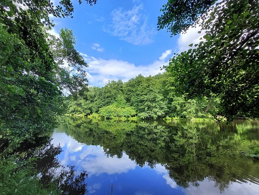 Chwila lata na poznańskiej Dębinie