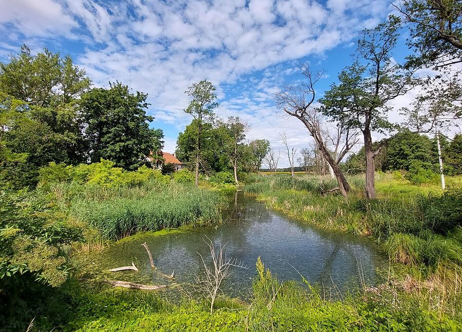 Bagno w Trzcielinie we wszystkich możliwych barwach