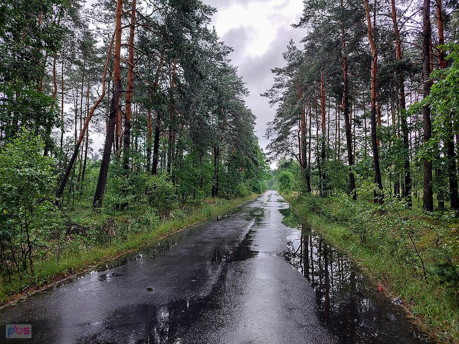 Obrzeża Częstochowy o poranku - godz 6:05 - droga w kierunku Kusiąt