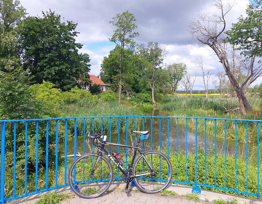 Rowerowo w Trzcielinie