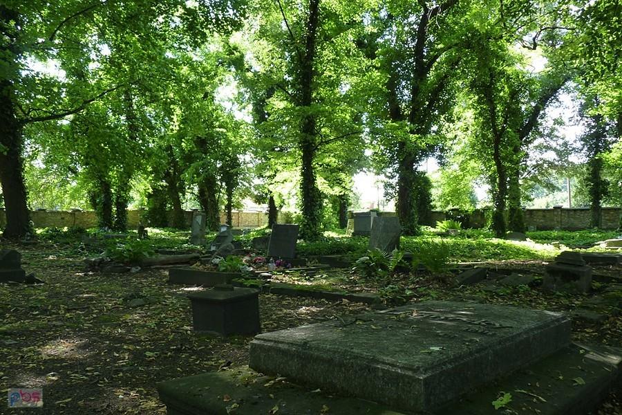 na cmentarzu hutniczym