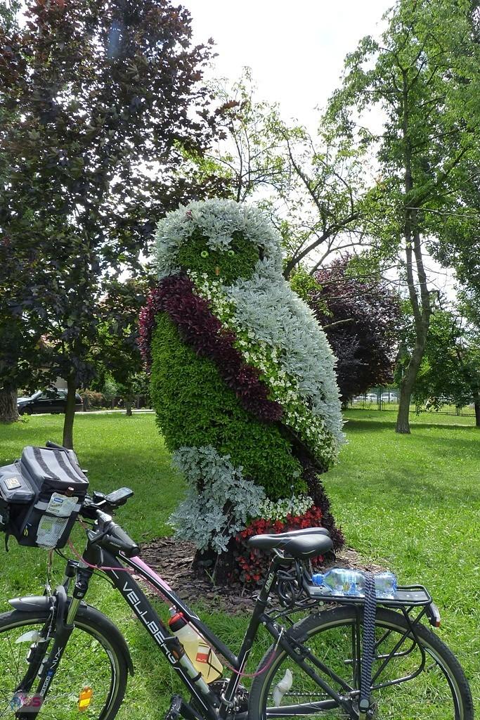 na rondzie przy ulicy Czapli i ulicy Kosów