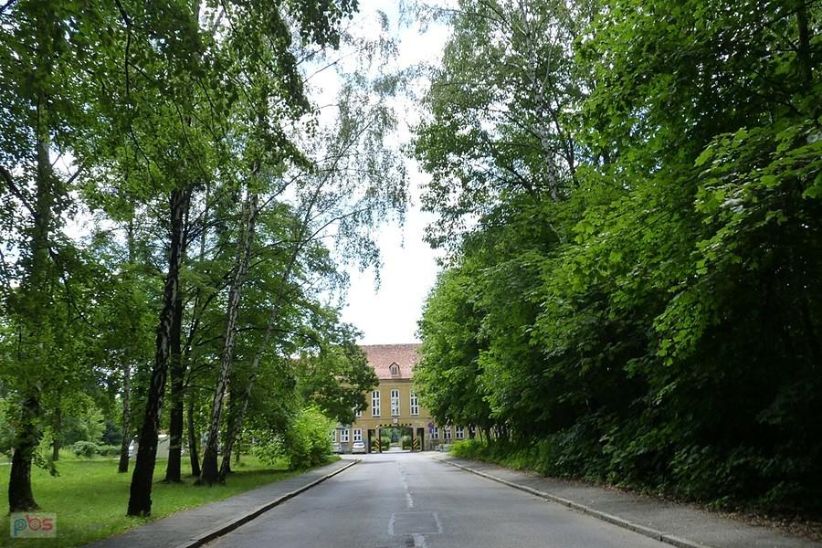 Wilcze Gardło