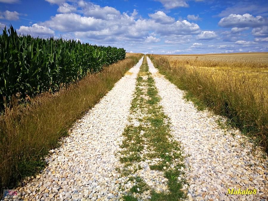 Dla traktorów może być