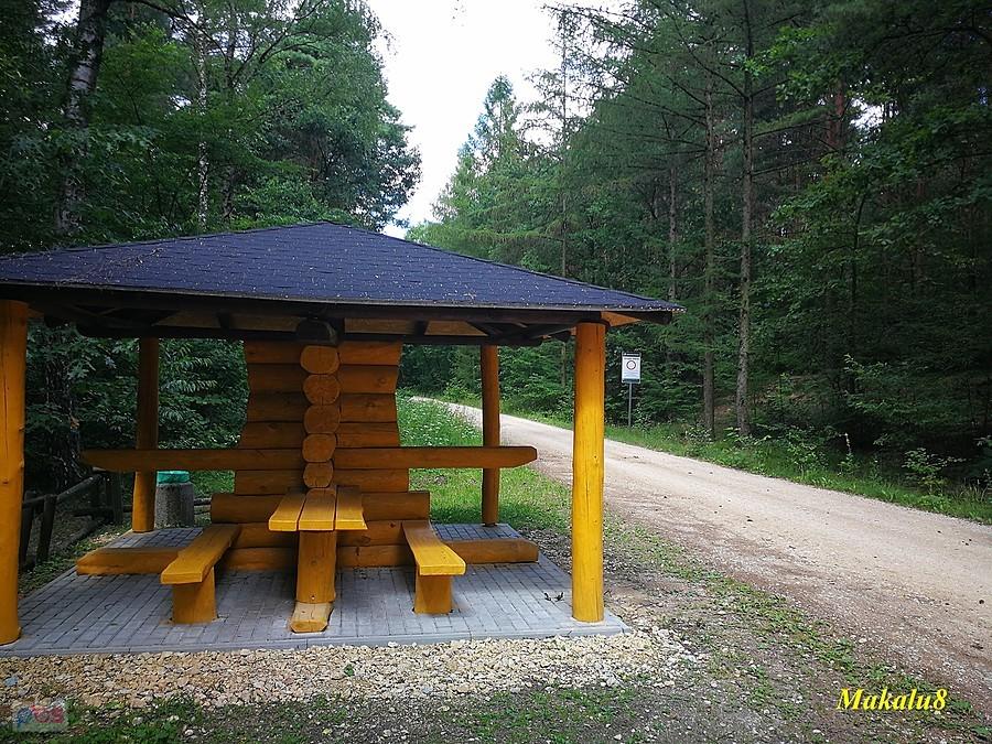 Parking pod lasem w Świbiu