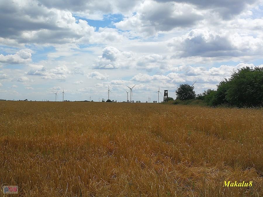 Wieża widokowa z Mapy.cz :-)