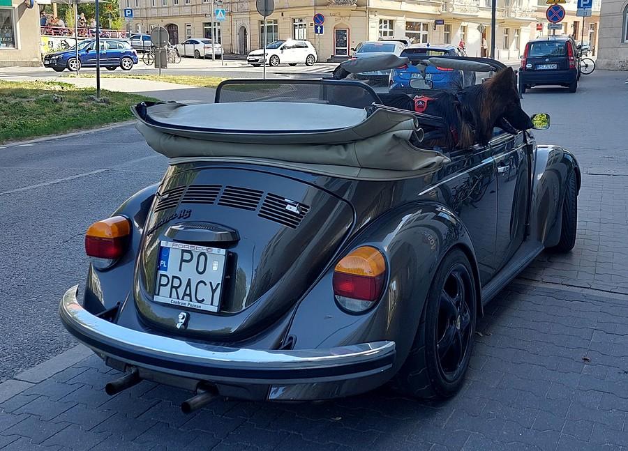 Garbus z kierowcą :)
