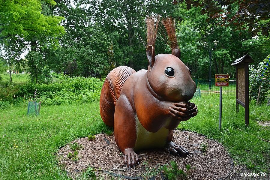Sosnowiec - Park Leśny