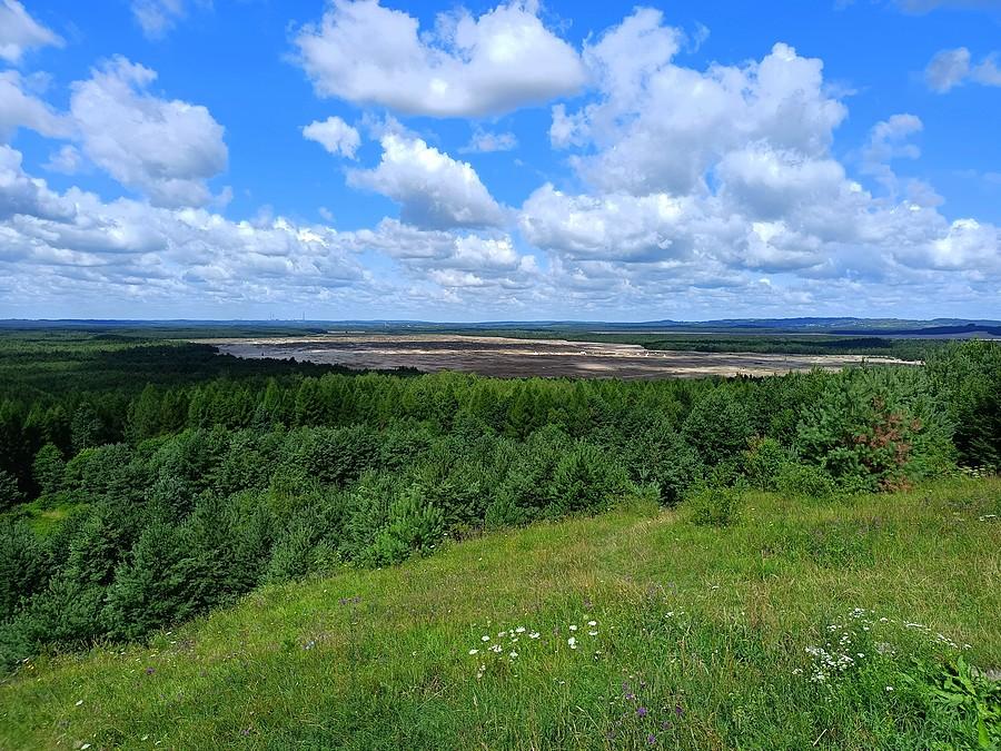 Widok z Czubatki na Pustynię Błędowską.