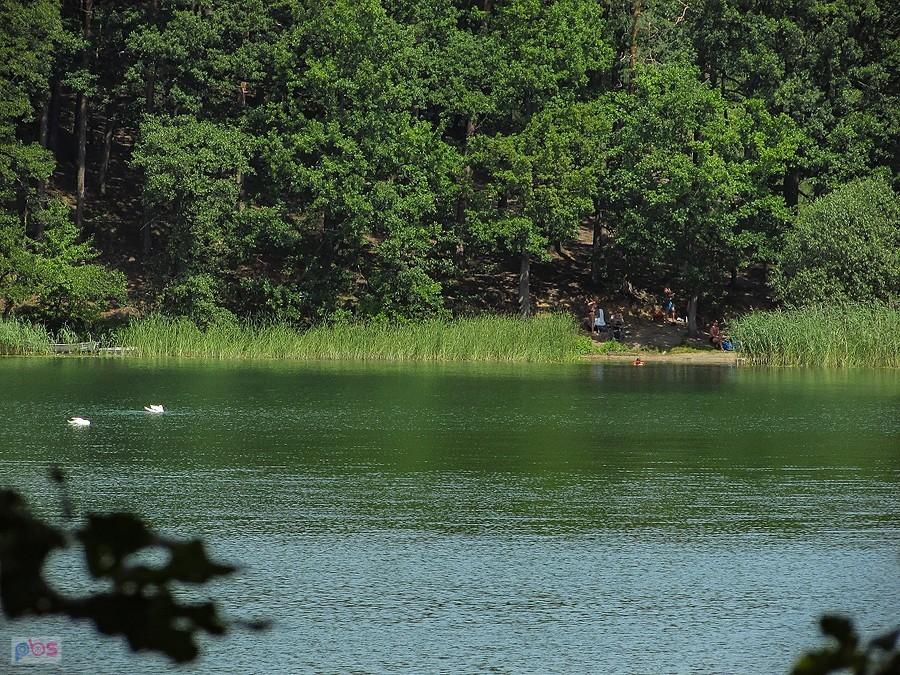 Jezioro Ciche - widok na moją plażę