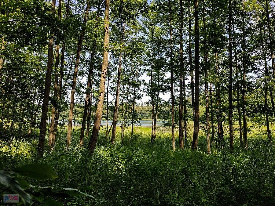 Widok z pod schronu w kierunku jeziora Ciche