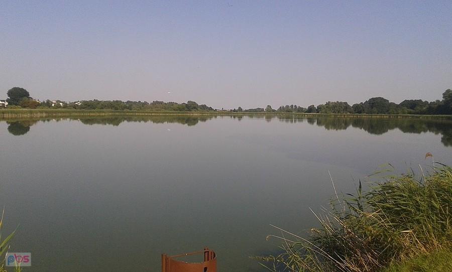 Tafla jednego ze stawów raszyńskich