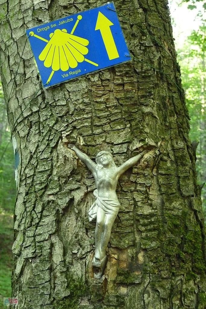 drogowskaz