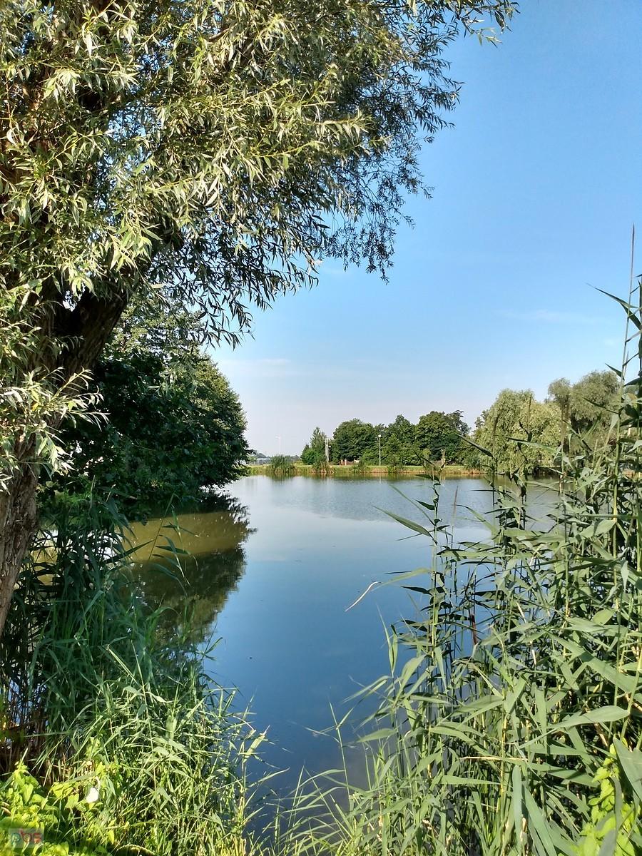 Staw w Zielonkach