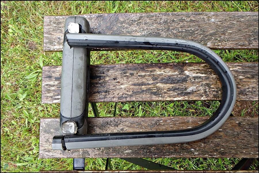 Ucięty ulock
