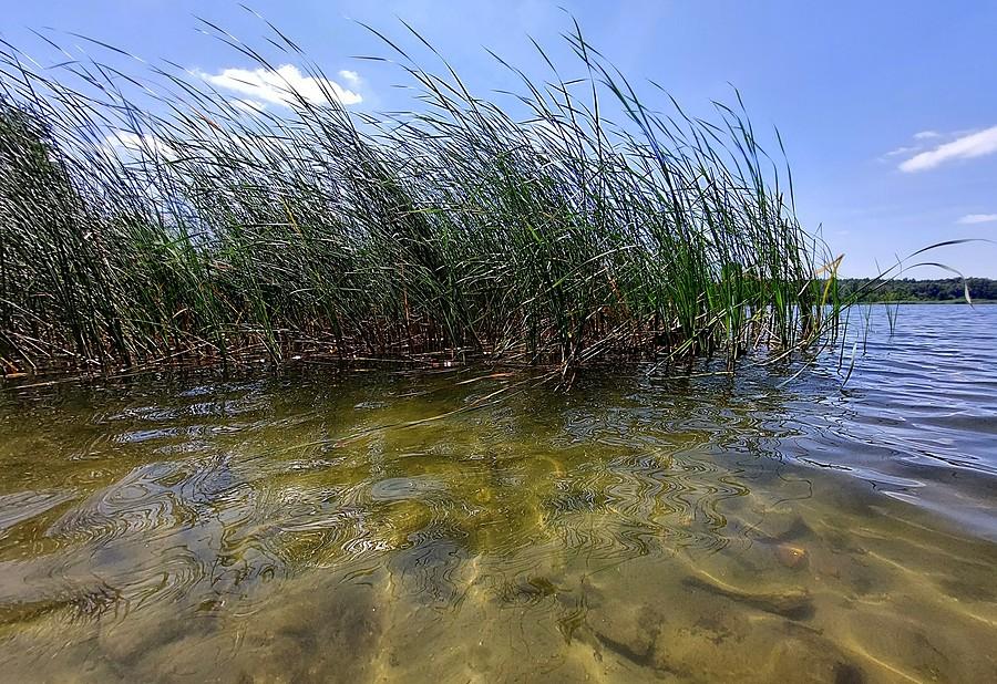 Wietrznie nad wodą
