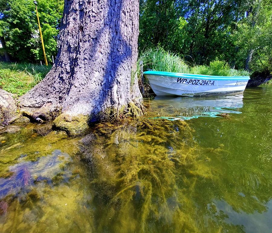 Inne spojrzenie na Jezioro Lusowskie