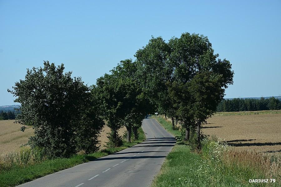 Trzebiesławice