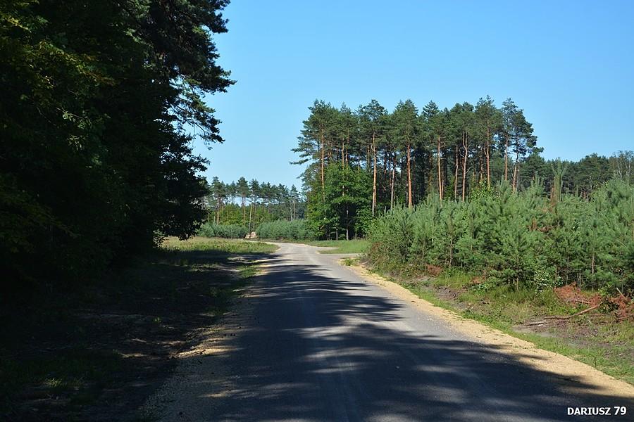 Kuźnica Sulikowska