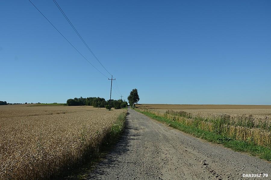 Poręba