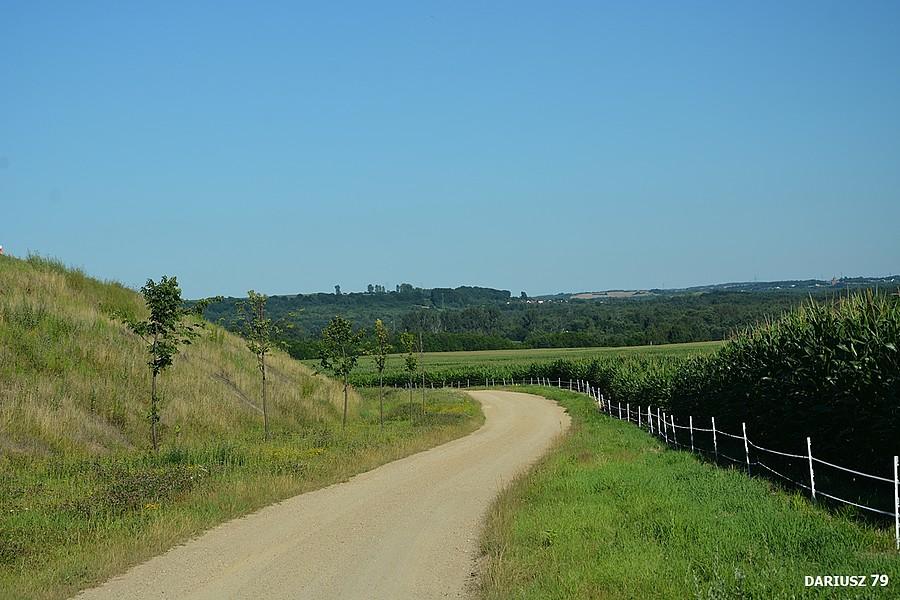 Mrzygłód