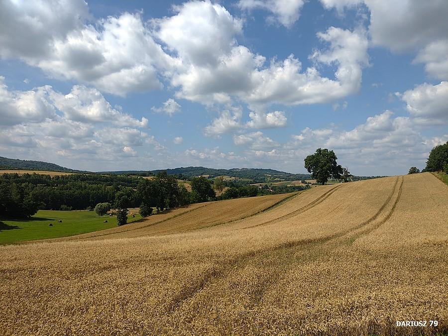 Dębno