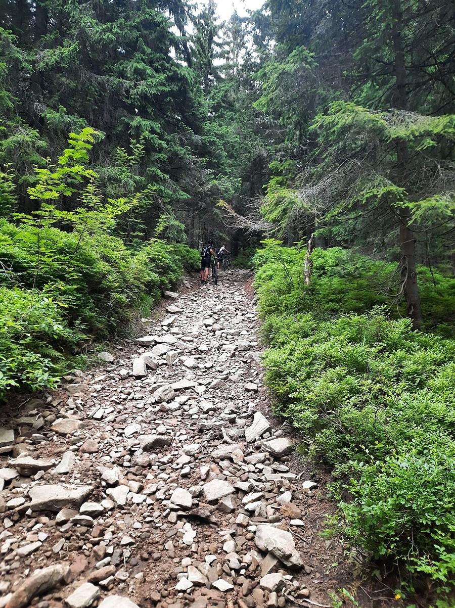 Pchamy po gruzowisku